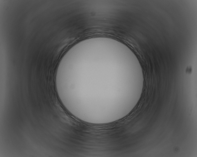 X0000094070423200710191000
