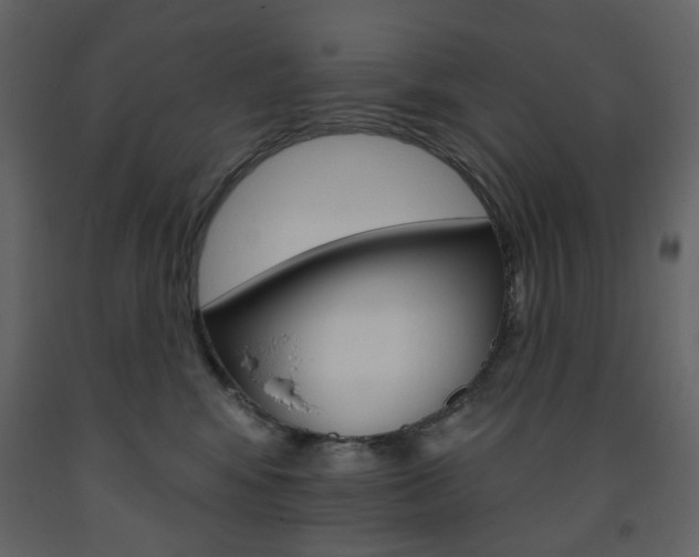 X0000094070424200710191000