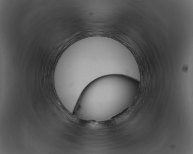 X0000094070425200710191000
