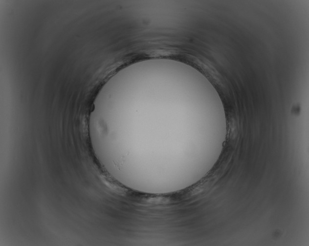 X0000094070426200710191000