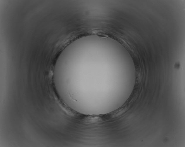 X0000094070427200710191000