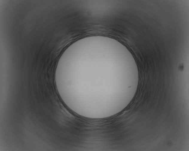 X0000094070428200710191000