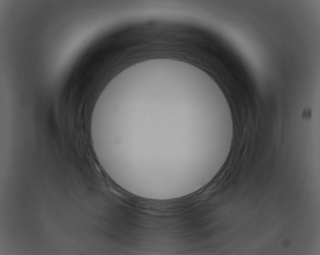 X0000094070431200710191000