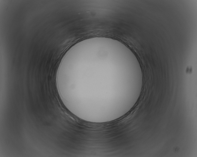 X0000094070432200710191000