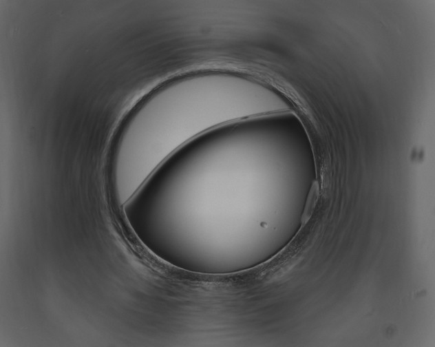 X0000094070436200710190959