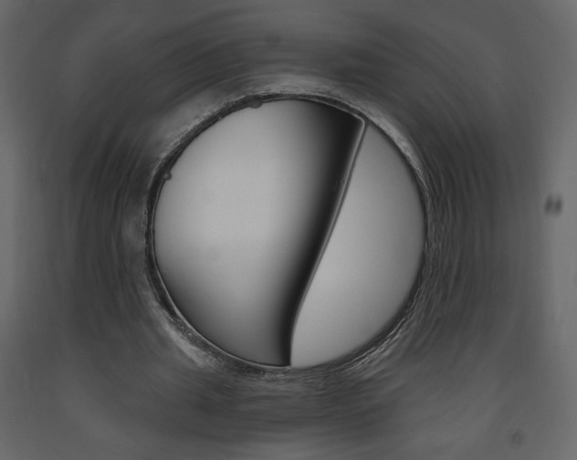 X0000094070437200710190959