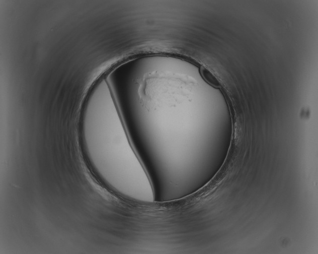 X0000094070438200710190959