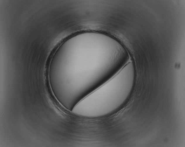 X0000094070439200710190959