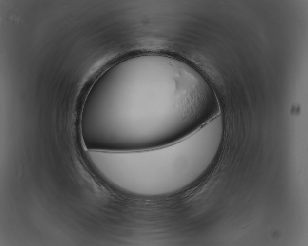 X0000094070440200710190959