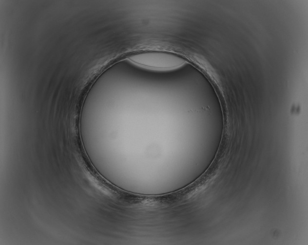 X0000094070441200710190959