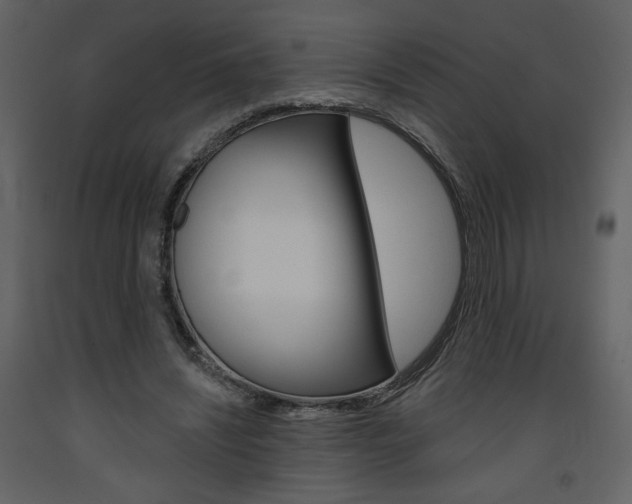 X0000094070444200710190959