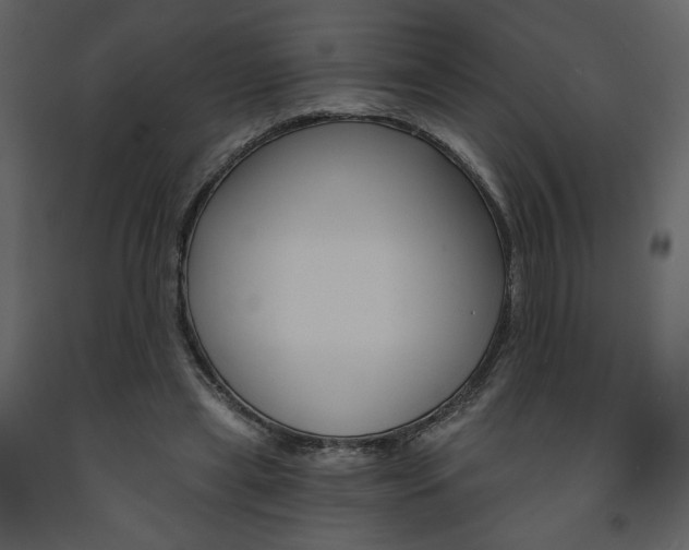 X0000094070445200710190959