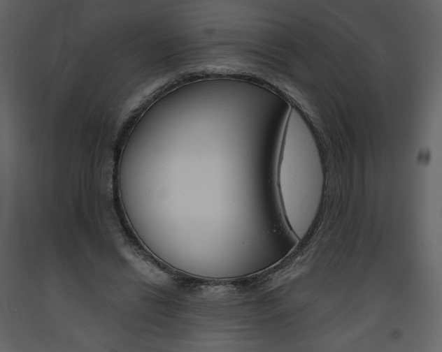 X0000094070446200710190959