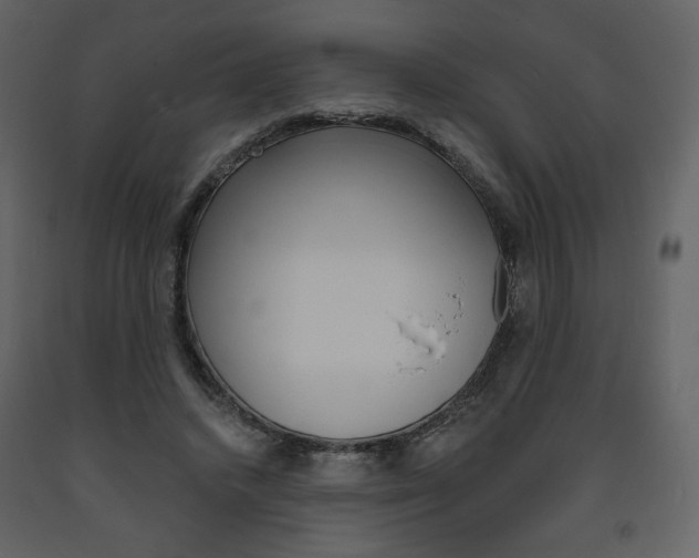 X0000094070448200710190959