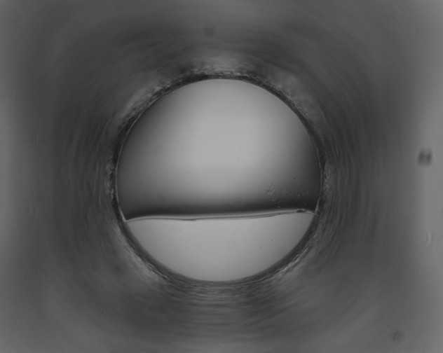 X0000094070449200710190959