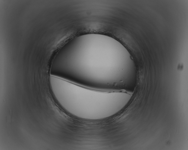 X0000094070450200710190959