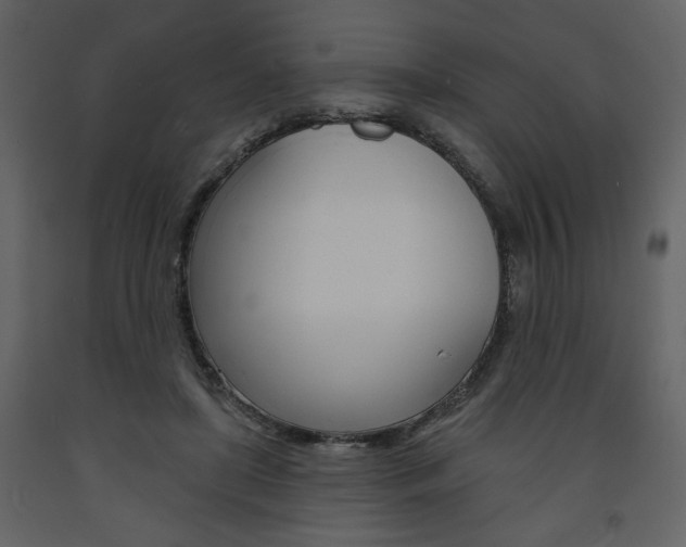 X0000094070451200710190959