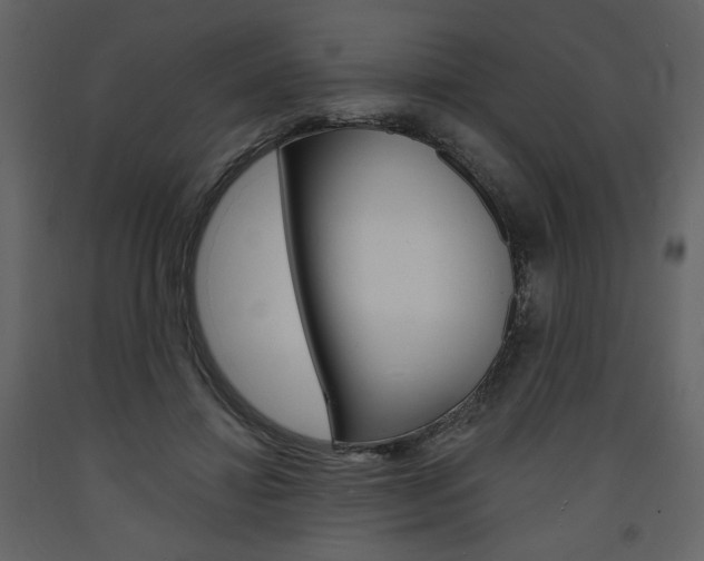 X0000094070452200710190959