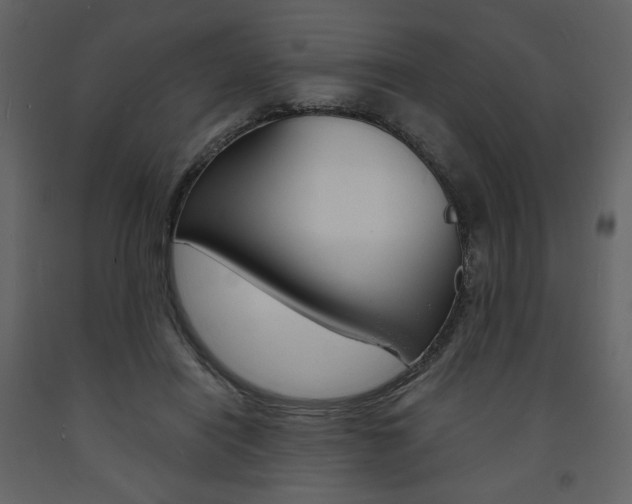 X0000094070454200710190959