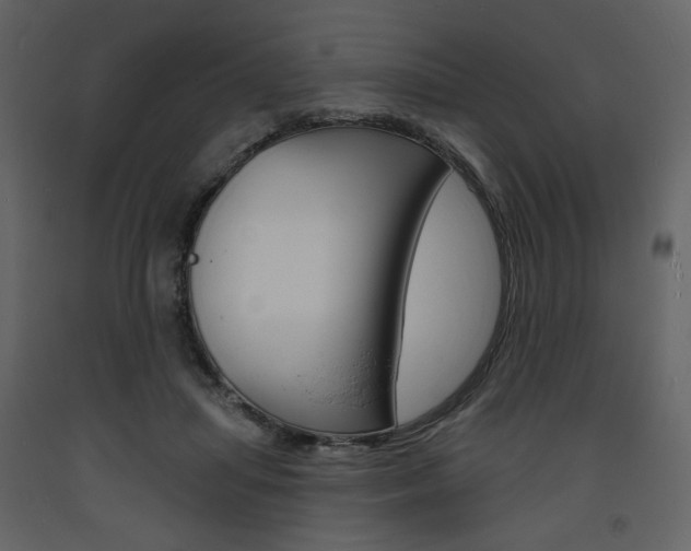 X0000094070455200710190959