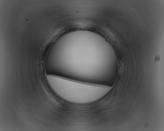 X0000094070456200710190959