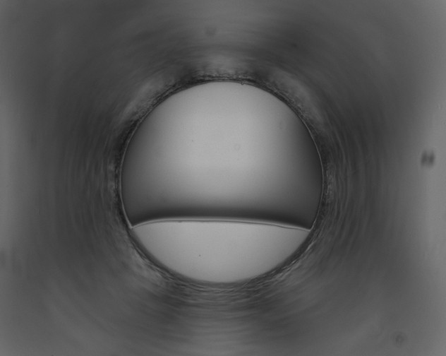 X0000094070457200710190959