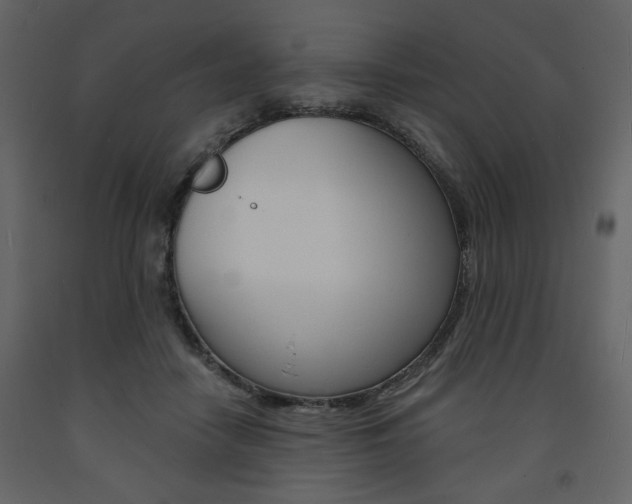 X0000094070458200710190959