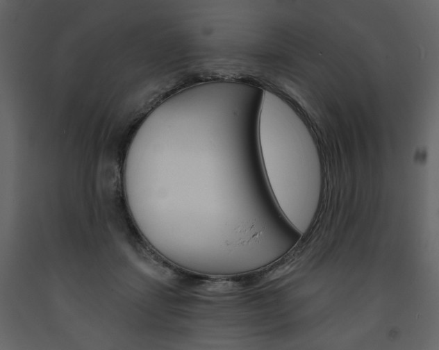 X0000094070459200710190959