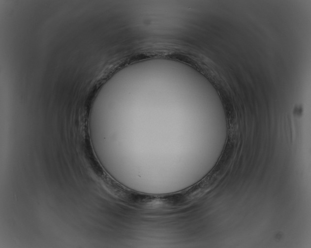 X0000094070460200710190959