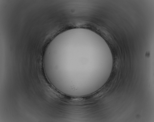 X0000094070461200710190959