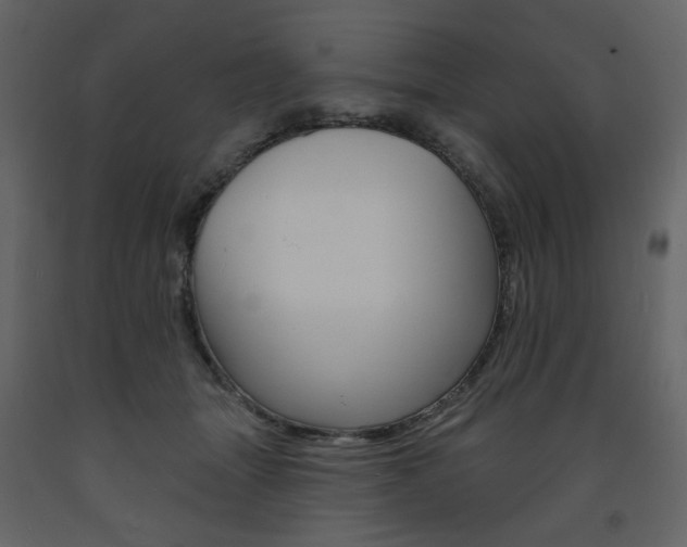 X0000094070463200710190959