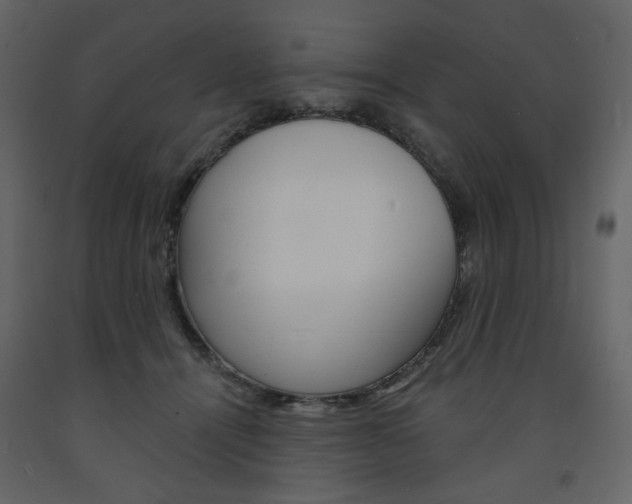 X0000094070464200710190959