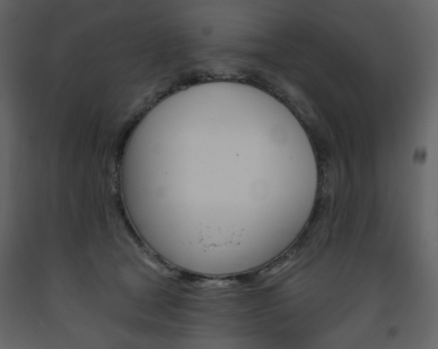 X0000094070465200710191000