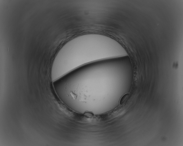 X0000094070466200710191000