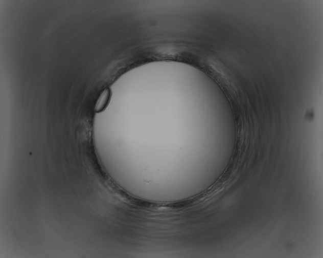 X0000094070467200710191000