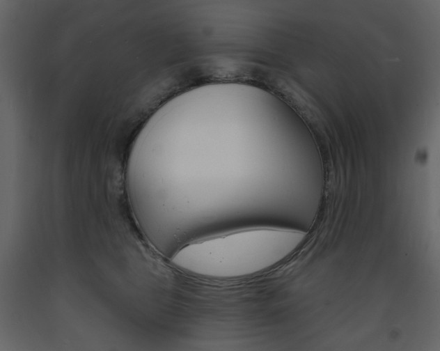 X0000094070469200710191000