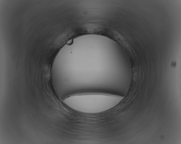 X0000094070471200710191000