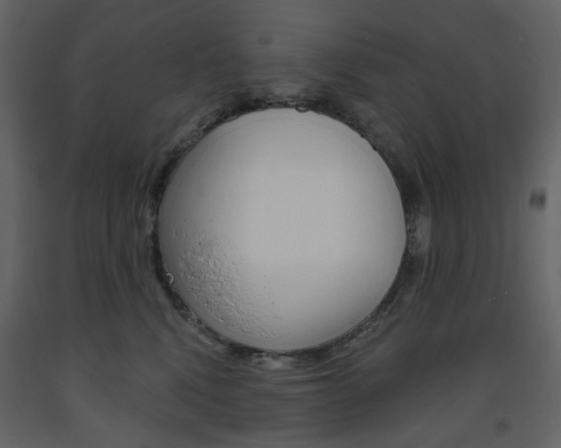 X0000094070472200710191000