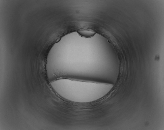 X0000094070473200710191000