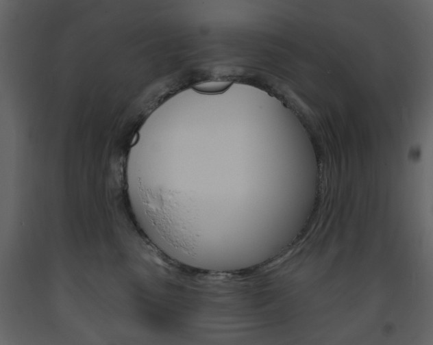 X0000094070475200710191000