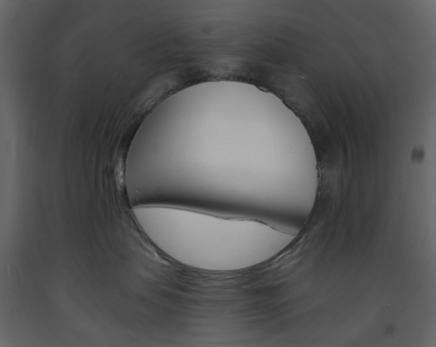 X0000094070479200710191000