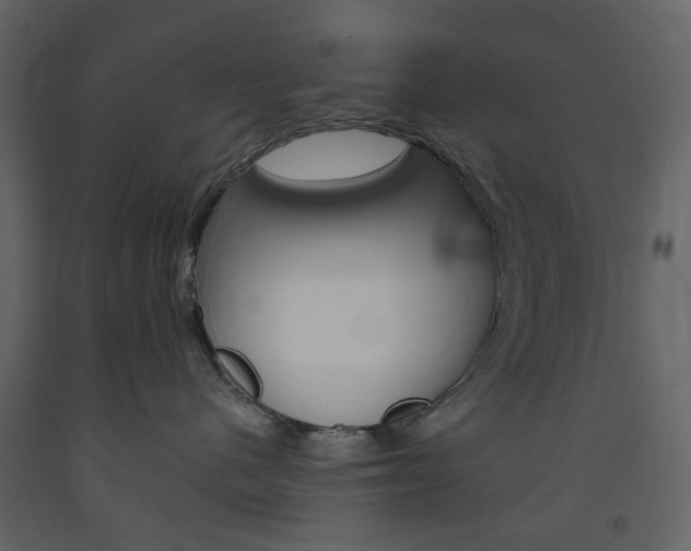 X0000094070480200710191000