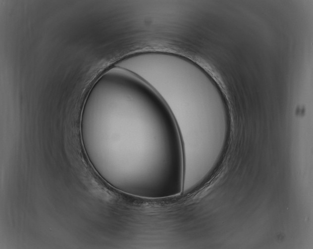 X0000094070481200710190959