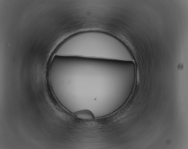 X0000094070483200710190959
