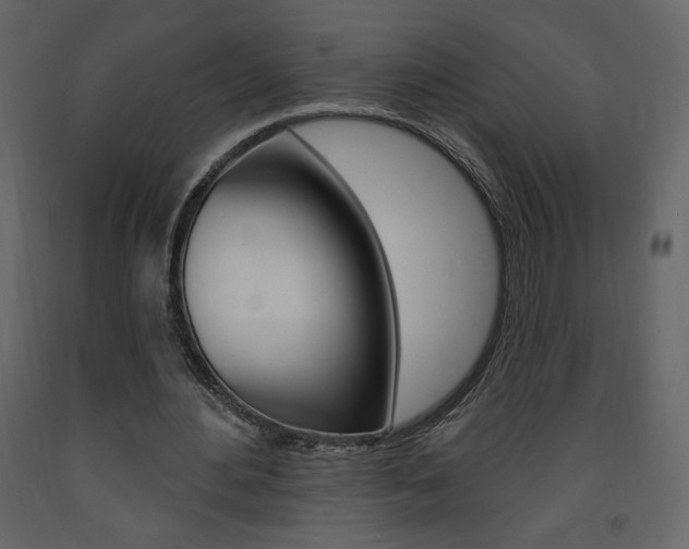 X0000094070484200710190959