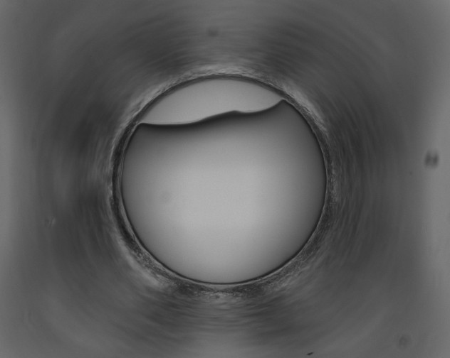 X0000094070486200710190959