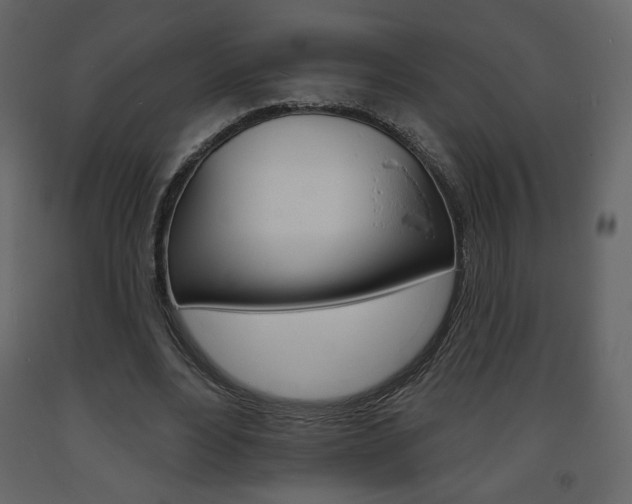 X0000094070488200710190959