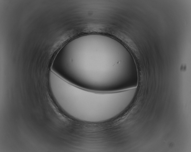 X0000094070489200710190959