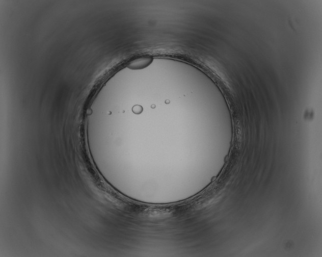 X0000094070491200710190959