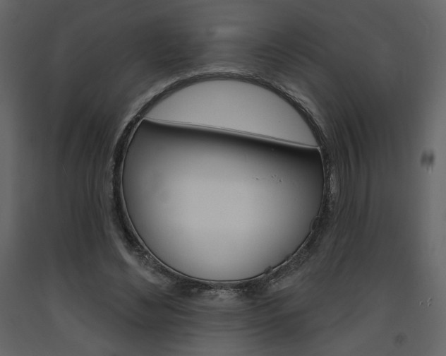 X0000094070492200710190959